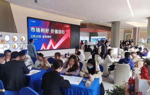 这个楼市春天,南宁有多少置业顾问 一夜暴富