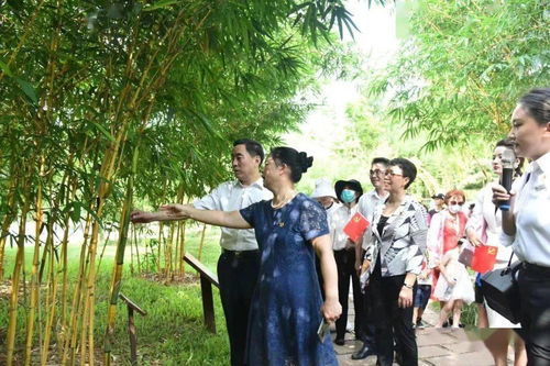 以竹倡廉,共育清廉好家风 南宁市家风家教廉政主题活动开展